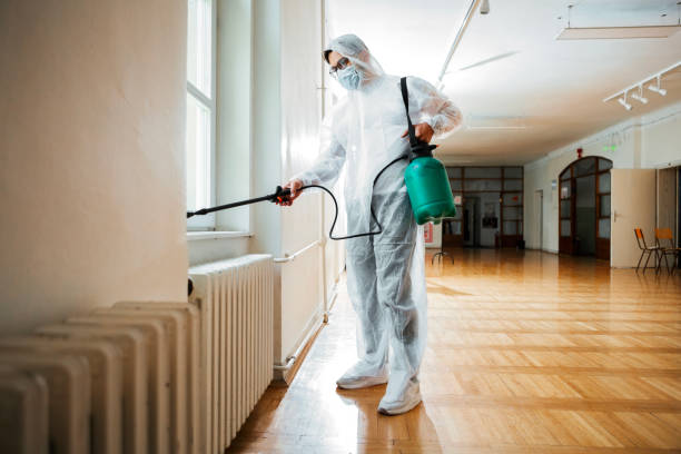 Best Pest Control for Warehouses  in Morenci, AZ